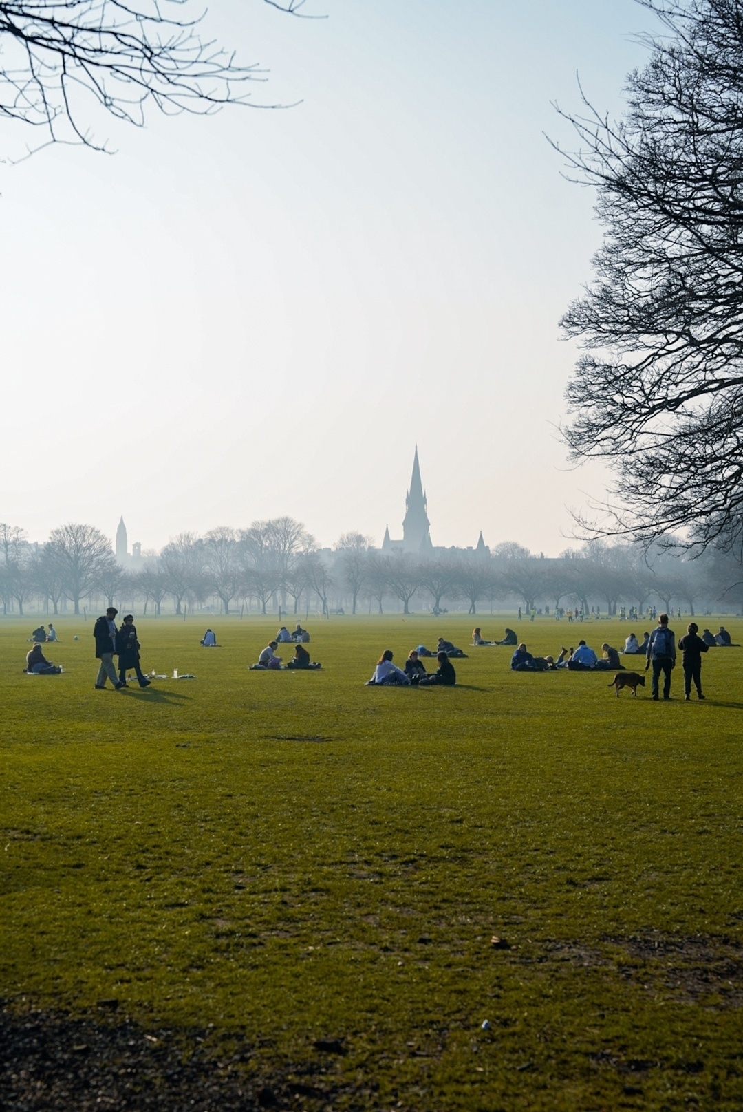 Bright sun and a hazy mist