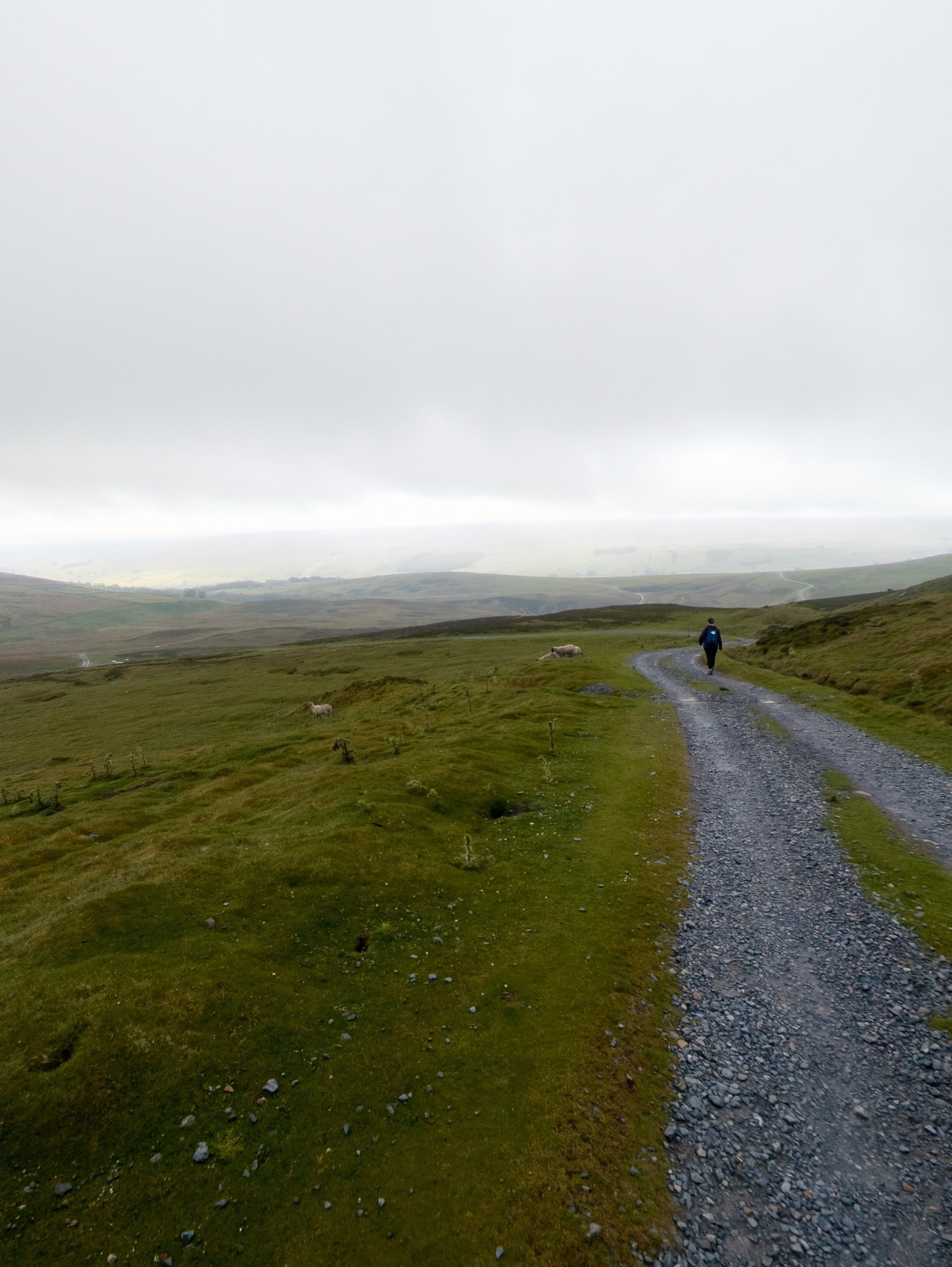 Aileen ahead of me on a track, looking out over the valley