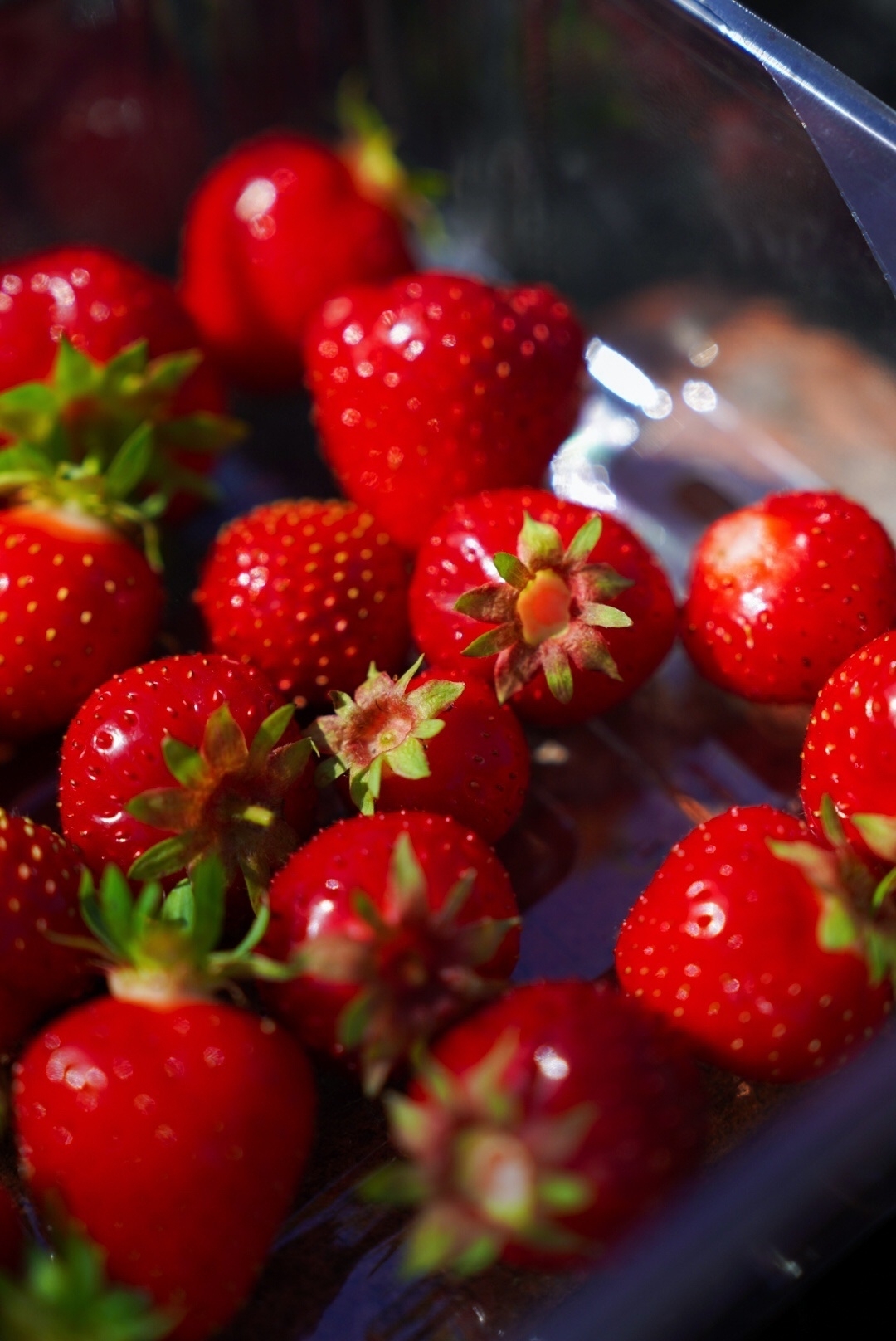Bright red strawberries in a punnet