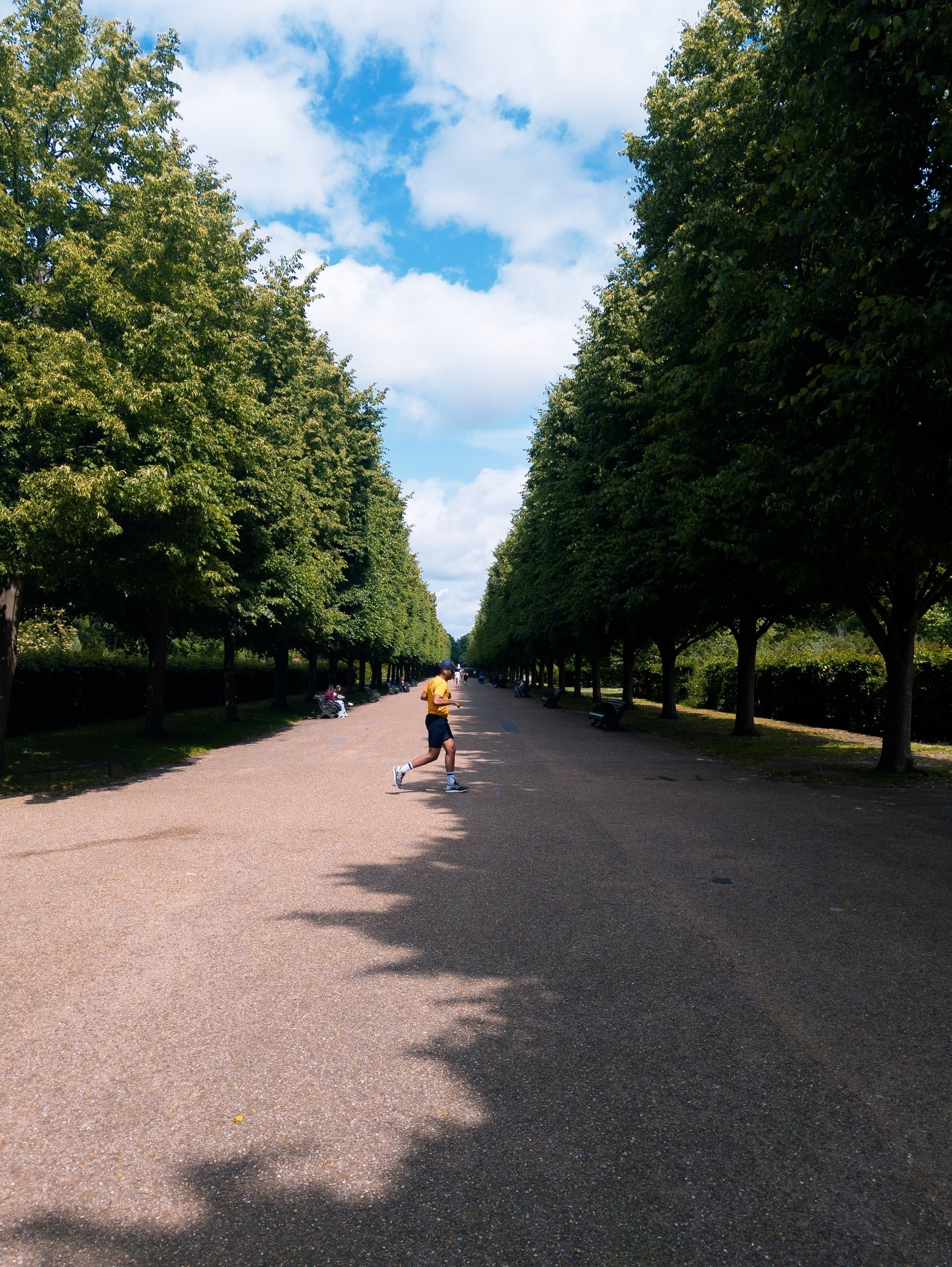 Runner in a yellow top crosses a treelined path