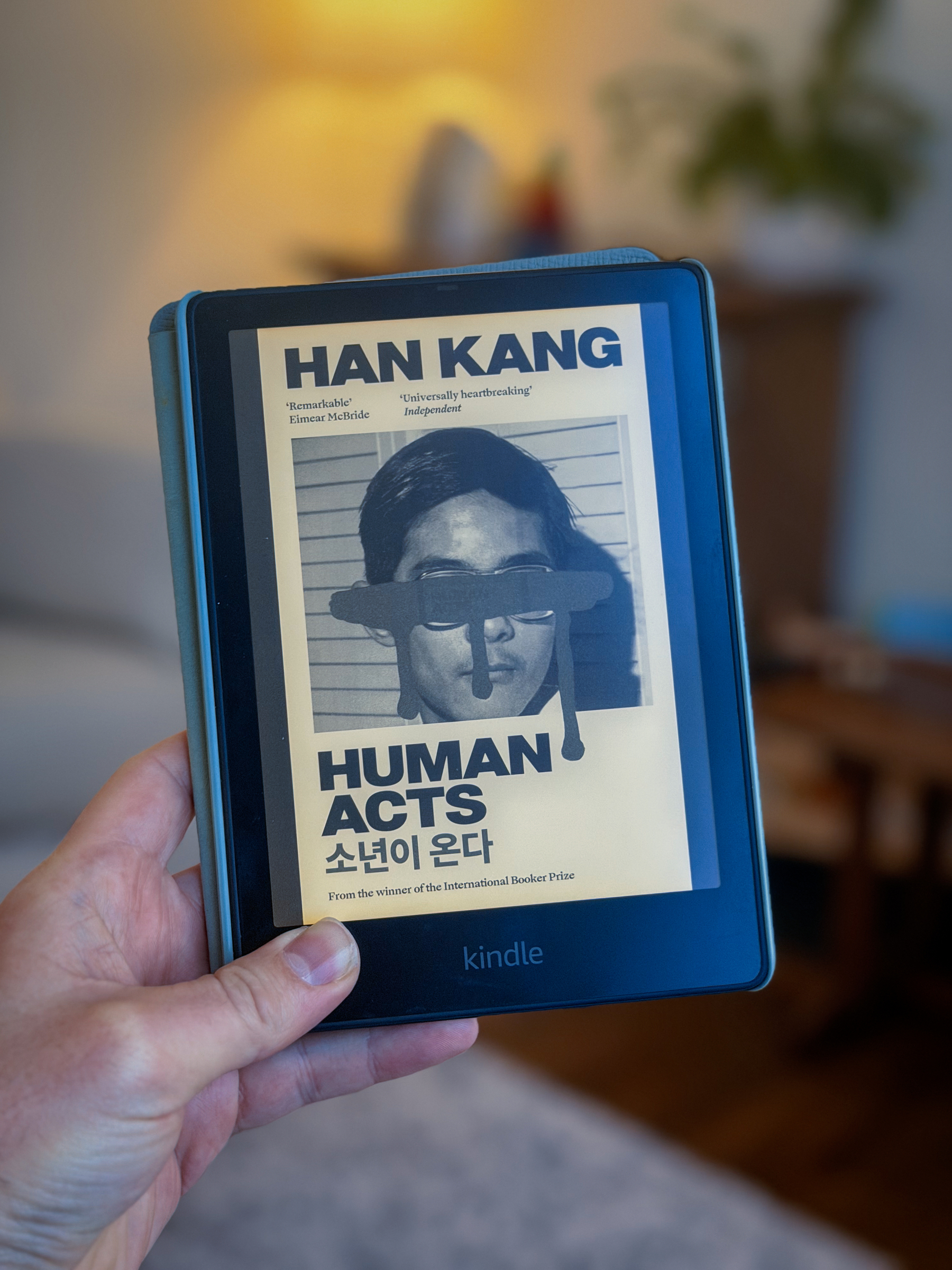 Book cover on Kindle